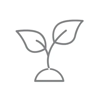 Plant growing icon